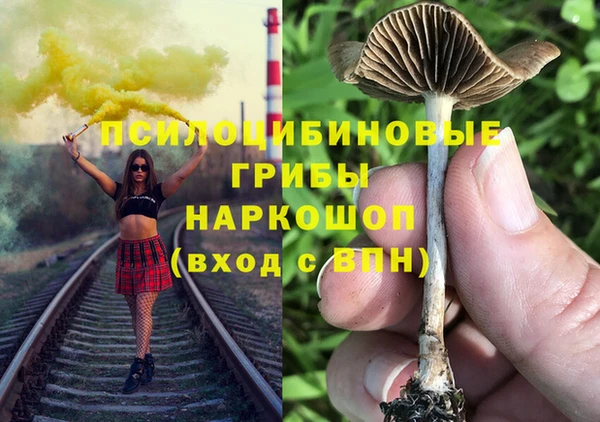 а пвп мука Алзамай