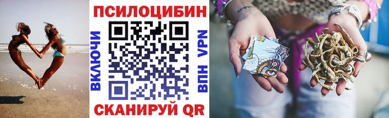 Псилоцибиновые грибы GOLDEN TEACHER  Кашин 